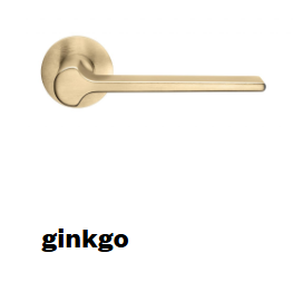 ginkgo.png ginkgo.png