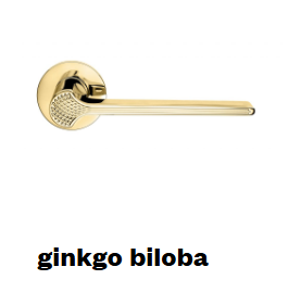 ginkgo bilboa.png ginkgo bilboa.png